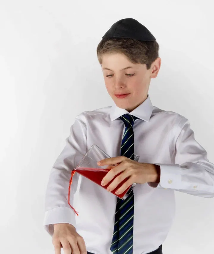 CLEAN Boys Twill NON IRON Cutaway Collar Shirt Long Sleeves with Plaid Contrast Fabric